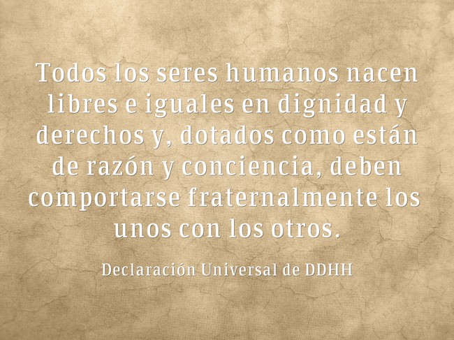 Todos Los Seres Humanos Nacen Libres E Iguales En Dignidad - Quozio