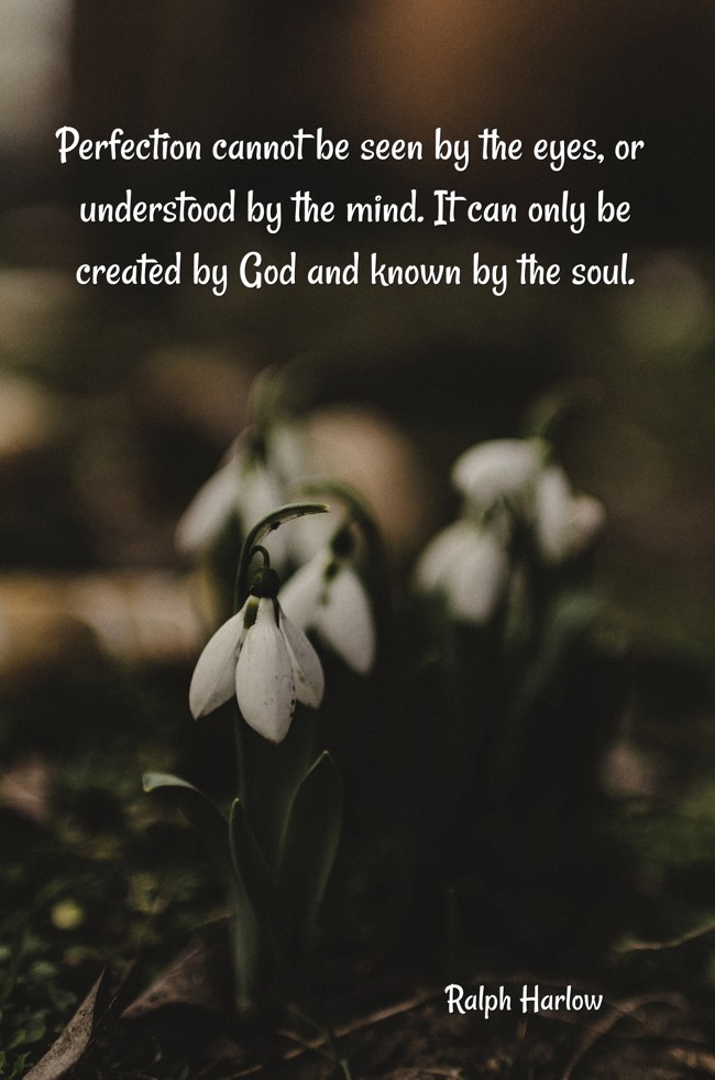 Perfection cannot be seen by the eyes, or understood by the - Quozio