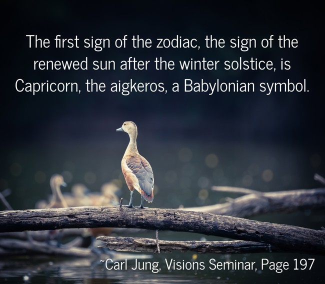 The first sign of the zodiac the sign of the renewed sun Quozio