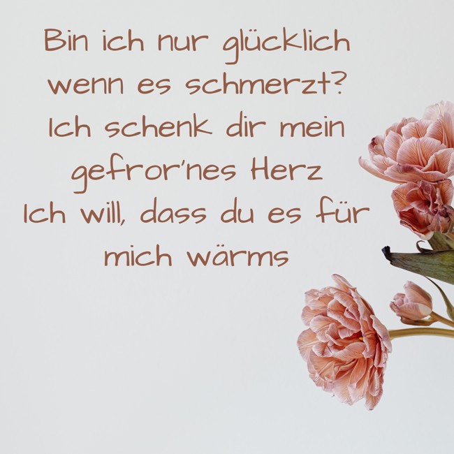 bin-ich-nur-gl%C3%BCcklich-wenn-es-schmerztich-schenk-dir-mein.jpg